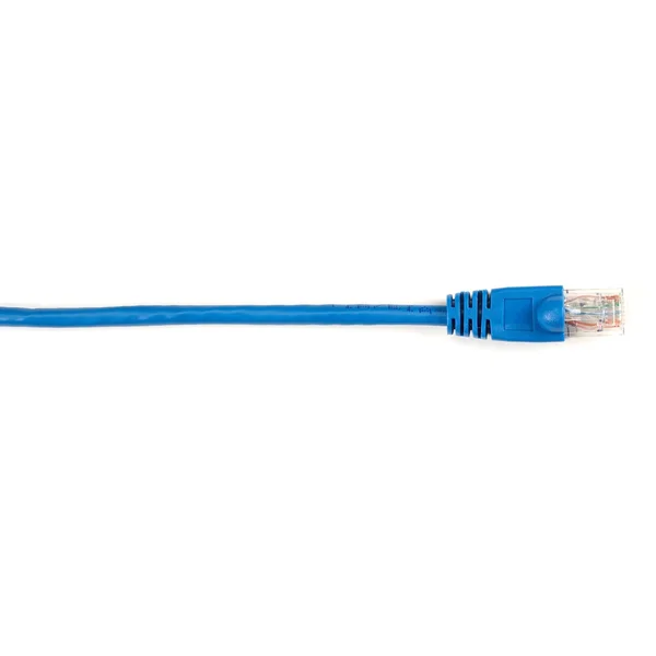 Black Box CORPORATION 25pk 3ft Cat6 Blue ENET Cable