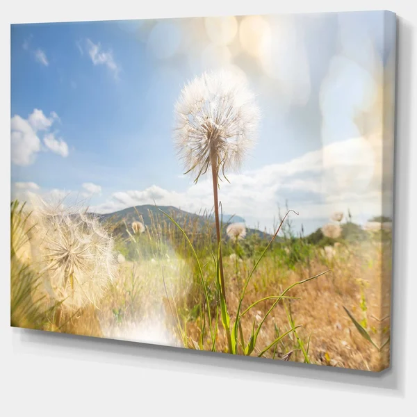 Design Art &Blooming Dandelion Under Bright Sky& Photographic Print on Wrapped Canvas - Size: 30 inch x 40 inch, White