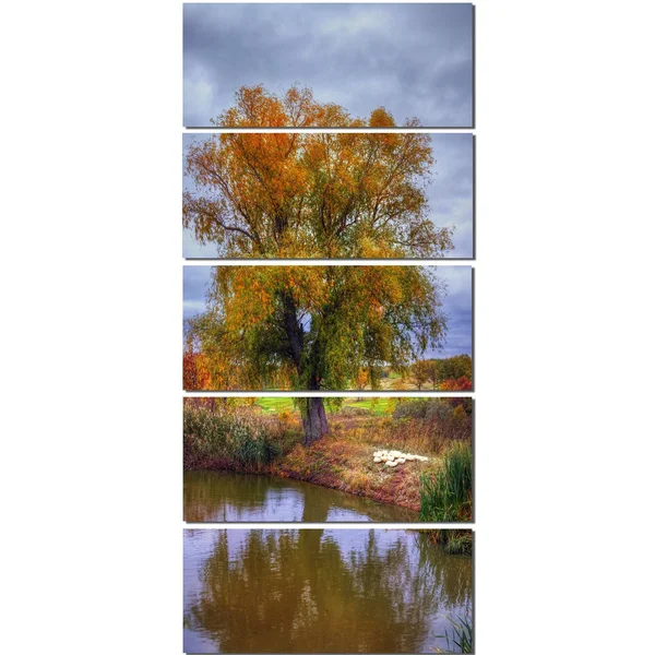 Design Art 'Willow Near Pond' Photographic Print on Wrapped Canvas - Green