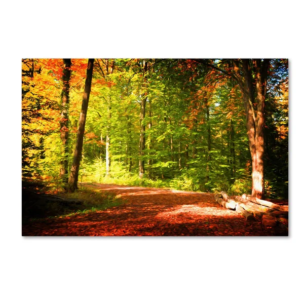 Trademark Art &Breaking The Fall Silence& by Philippe Sainte-Laudy Painting Print on Wrapped Canvas Size: 30x22 H x 47x22 W x 2x