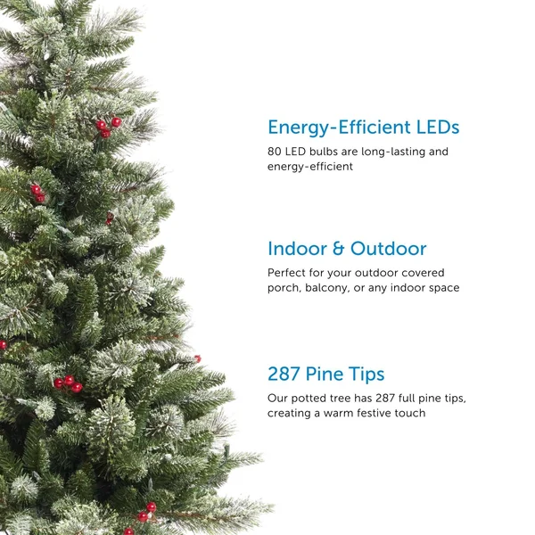 Noma 4-Foot Jackson Potted Christmas Tree - 80 Warm White LED Bulbs, 287 Pine Tips
