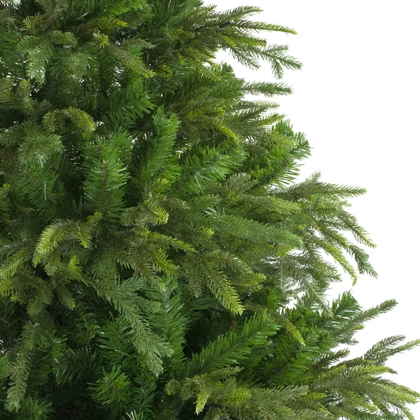 Northlight 7.5' Roosevelt Fir Artificial Christmas Tree - Unlit