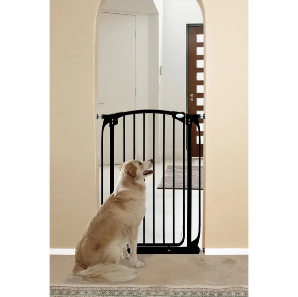 Dreambaby Chelsea Tall Auto Close Stay Open Security Gate Black - F190B