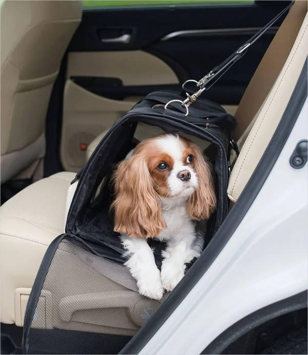 Gen7Pets Commuter Pet Carrier, Black