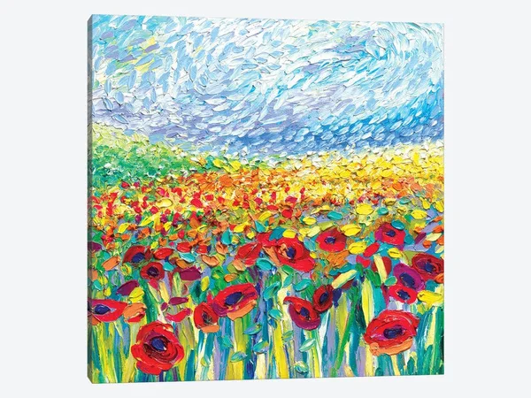 Iris Scott Paintings Canvas Art Prints - Poppies Study ( Floral & Botanical > Flowers > Wildflowers art)
