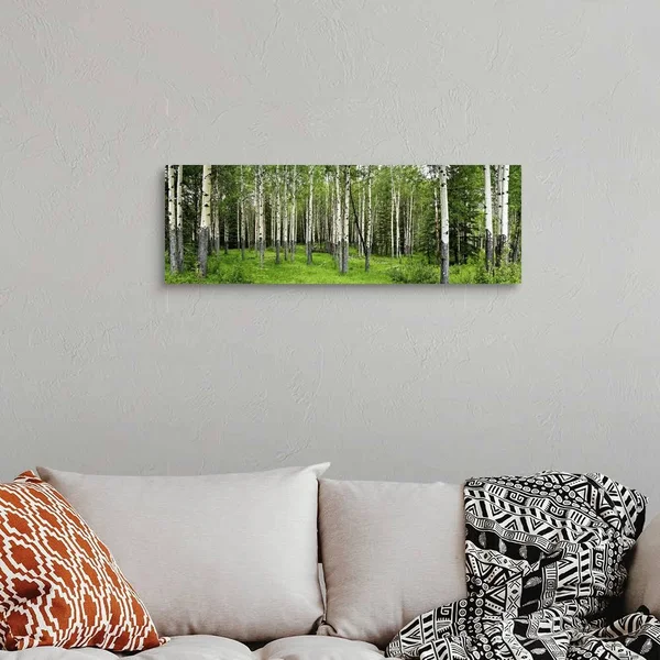 Aspen Trees in A Forest - Banff, Banff National Park, Alberta, Canada, Canvas Wall Art, 36x12, Great Big Canvas
