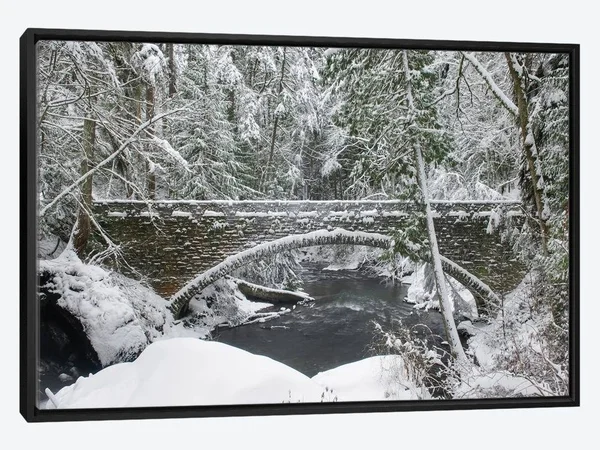 Framed Canvas Art - Whatcom Creek Bridge by Alan Majchrowicz ( places > North America > United States > Washington a