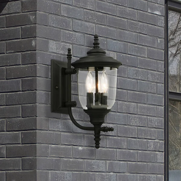Eglo Lighting 202803A Outdoor Wall Light, Matte Black