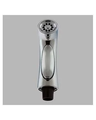 Delta RP53880SS Pilar Stainless Spray, Hose and Diverter Assembly