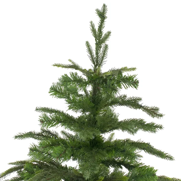 Northlight 7.5' Roosevelt Fir Artificial Christmas Tree - Unlit