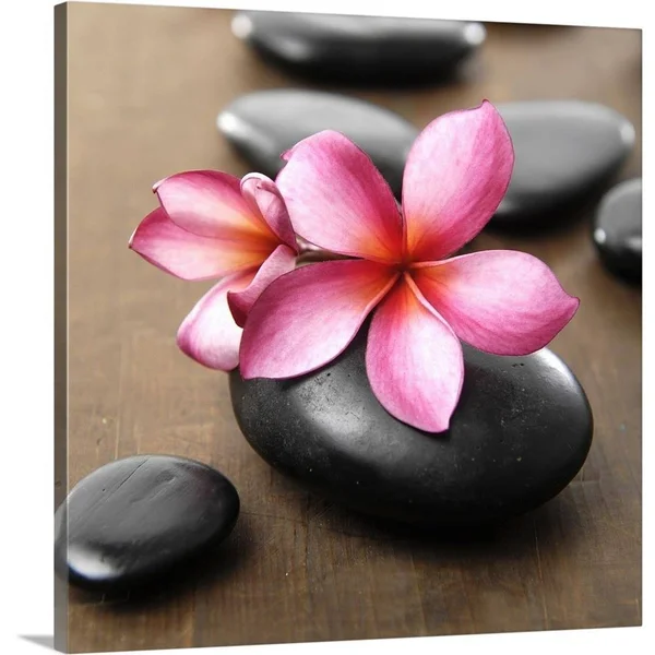 GreatBigCanvas Zen Pebbles by PhotoINC Studio 16-in H x 16-in W Abstract Print on Canvas - 2529284-24-16X16