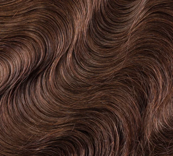 Mayvenn Virgin Malaysian Body Wave Bundle Hair Extensions - 12x22 Length, Chocolate Brown