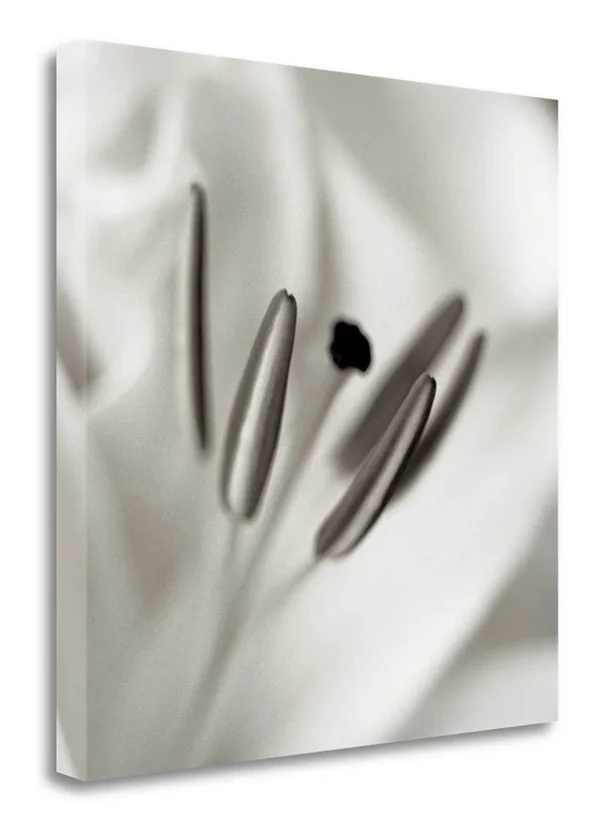 30x22 x 30x22 Florison - 52 by Alan Blaustein Fine Art Giclee Print