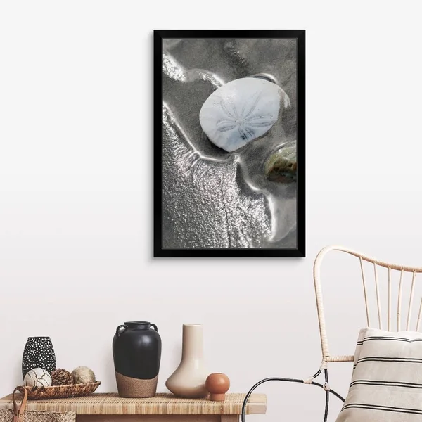 Sand Dollar, Black Framed Wall Art, 24x36, Great Big Canvas