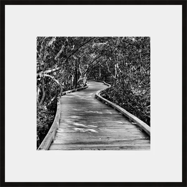 Somerset House Publishing 2387 29 x 29 in. Southern Swing II Framed Fine Art Print