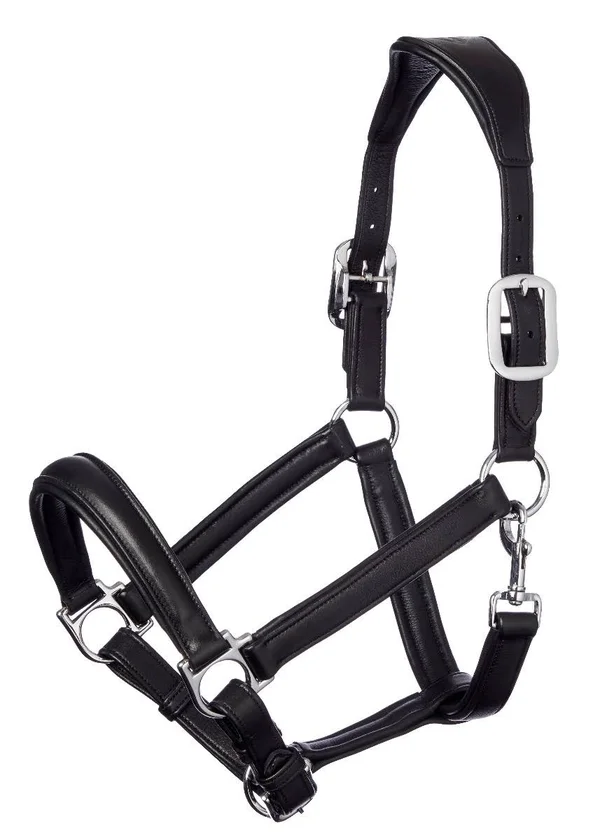 LeMieux Anatomic Leather Headcollar - Black