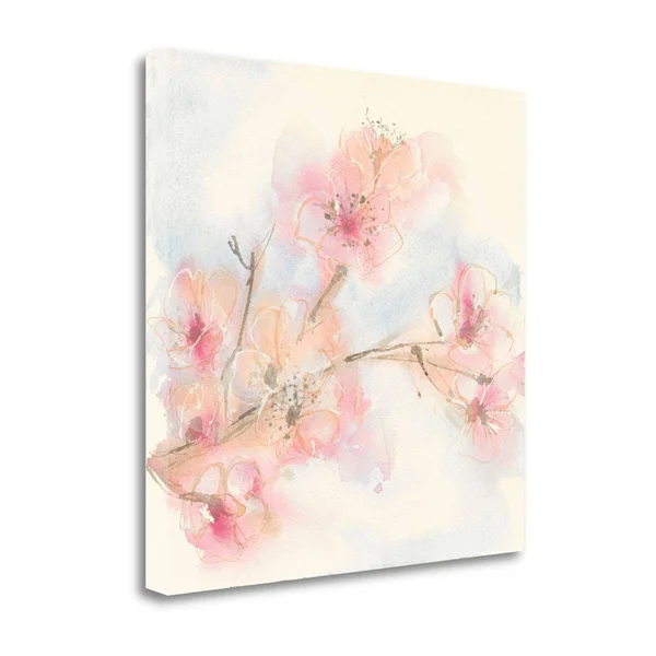 Tangletown Fine Art Pink Blossoms II by Chris Paschke - Giclee Print on Gallery Wrap Canvas, 25x25x22