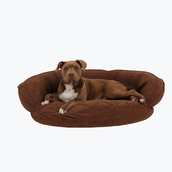 Carolina Pet Company Microfiber Quilted Bolster Bed with Moisture Barrier Protection Sage
