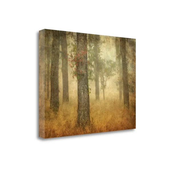 Tangletown Fine Art Oak Grove in Fog by William Guion, Giclee Print on Gallery Wrap Canvas, 32x24x22
