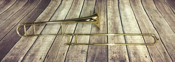 Holton TR602 Trombone, 16 x 40 x 13 inches