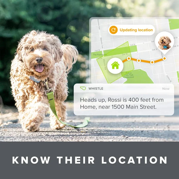 Whistle Go Explore - The Ultimate Health & Location Tracker for Pets - Green