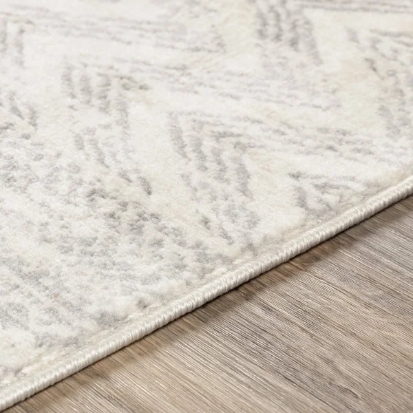 Surya Roma ROM-2329 9& x 12&3x22 Area Rug