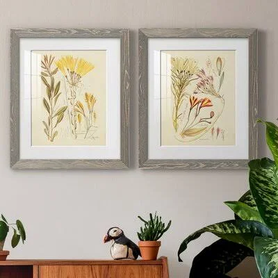 Antique Botanical Sketch IVPremium Framed Print - Ready to Hang August Grove Format: White Framed Paper, Matte Color: White, Siz