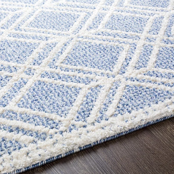 Valencia (Vlc-2314) - 6& 7x22 x 9& Rug