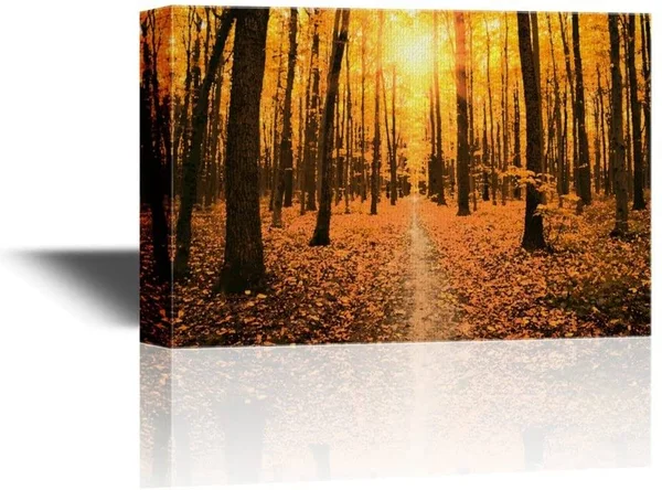 Wall26 - Canvas Wall Art - Landscape with Path in Yellow Forest in Autumn at Sunset - Gallery Wrap Modern Home Decor - Ready to