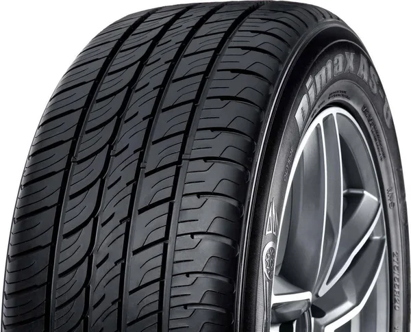 Radar Dimax AS-8 225/60R17 103V bsw Tire