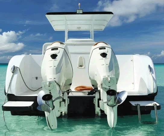 Taylor Made Cover for Boats with Fixed T-Tops and Bow Rails, 21&4x22 x 102x22