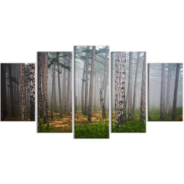 Designart 'Dense Misty Forest' 4 Piece Photographic Print on Wrapped Canvas Set