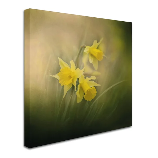 Trademark Art Jai Johnson 'A Spring Morning Welcome' Canvas Art