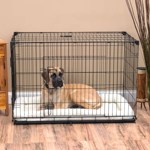 Lucky Dog 2-Door Training Crate