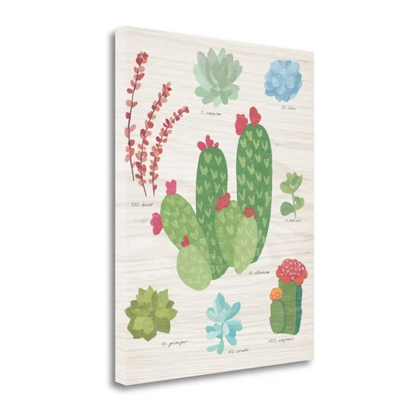 Tangletown Fine Art 'Succulent Chart IV on Wood' by Wild Apple Portfolio Graphic Art on Wrapped Canvas, Green