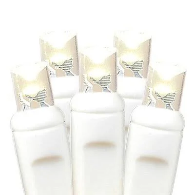 The Holiday Aisle Commercial Grade Christmas LED Net Light Set, 4' x 6', Green, White WIRE, 100 Light The Holiday Aisle Color: W