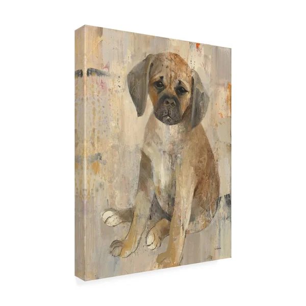 Trademark Fine Art 'Paco' Canvas Art by Albena Hristova, Size: 18 x 24