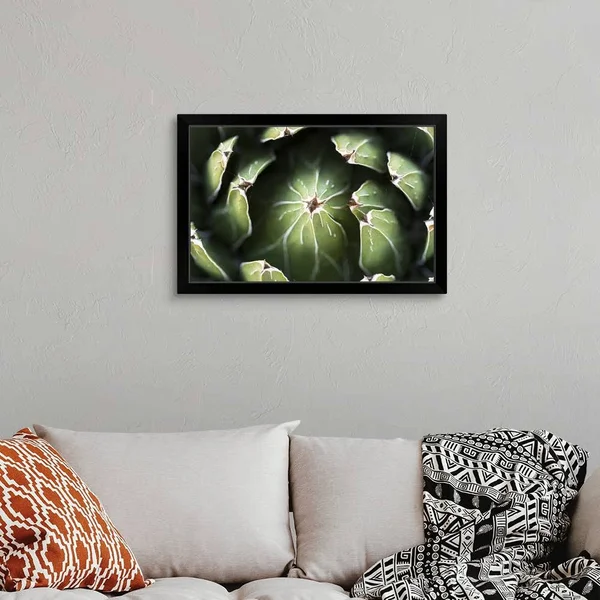 Photo Nature - Queen Victoria Agave - Black Framed Wall Art, 30x20, Great Big Canvas